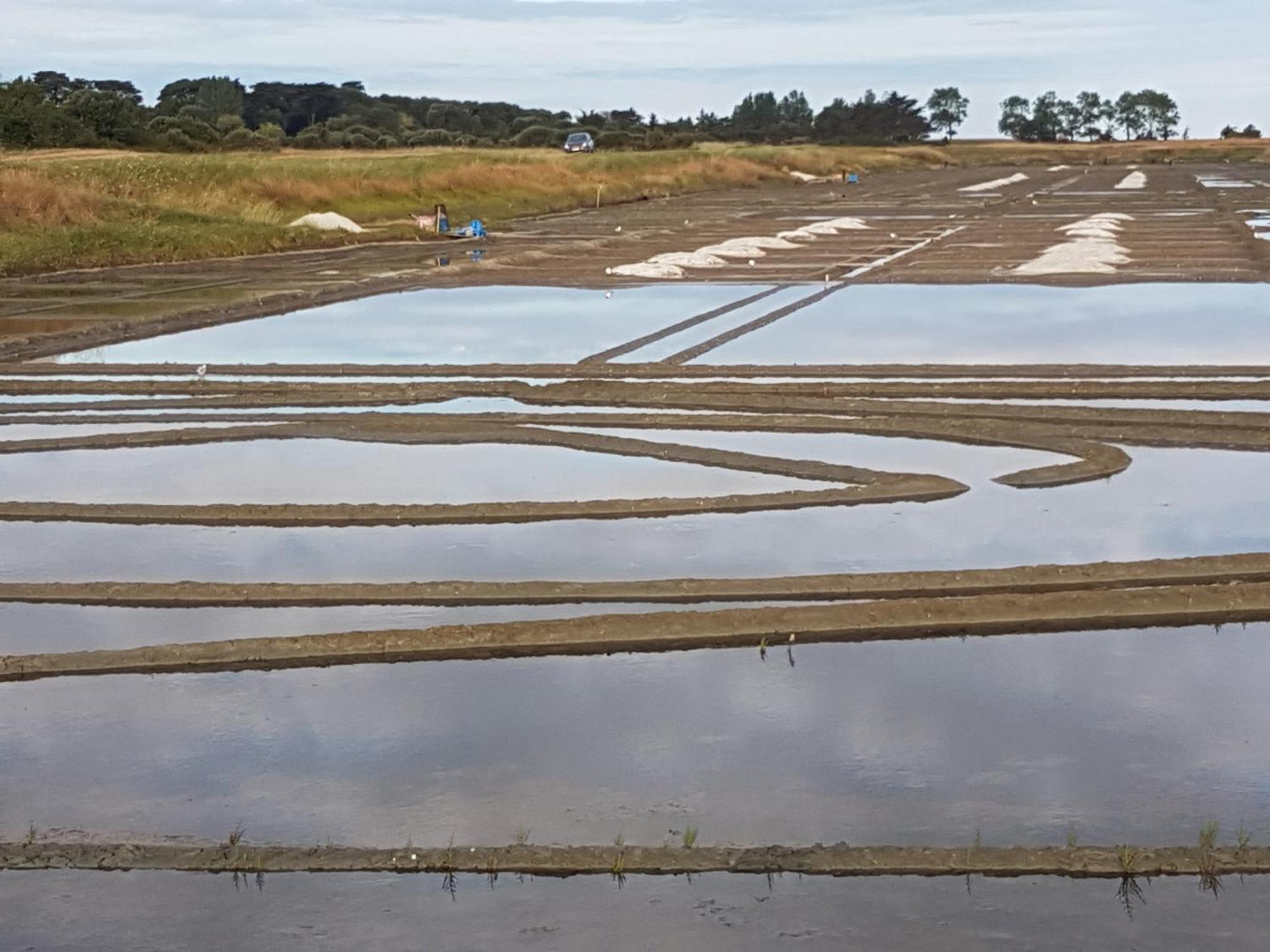 Detente Gite Et Spa Entre Mer Et Marais Villeneuve-en-Retz Exteriör bild